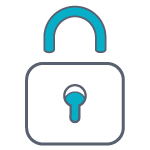 privacy and security icon